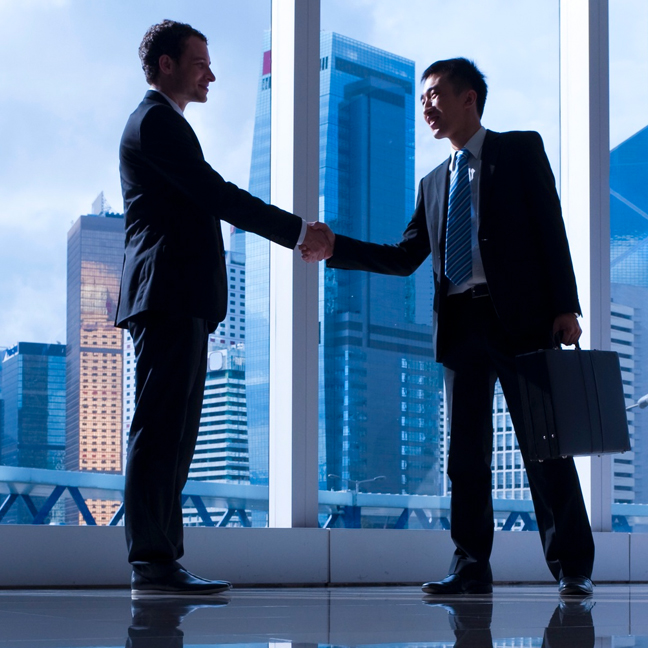 Business Structuring Consultation